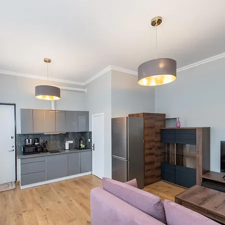 Elegant Center With Free Parking By Polo Aparments * Kaunas