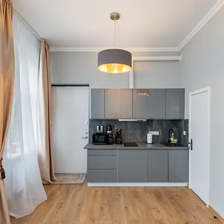 Elegant Center With Free Parking By Polo Aparments Kaunas